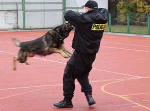 Policja - służba, pasja i możliwości