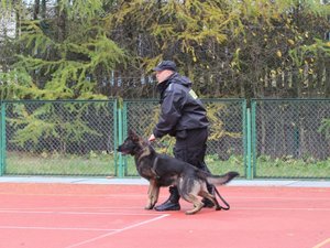 Policja - służba, pasja i możliwości