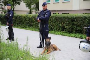 policjanci podczas zabezpieczenia meczu