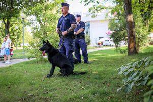 zabezpieczenie zgromadzeń