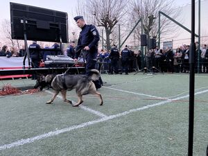 policjanci zabezpieczający wydarzenie