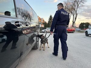 policjanci zabezpieczający wydarzenie