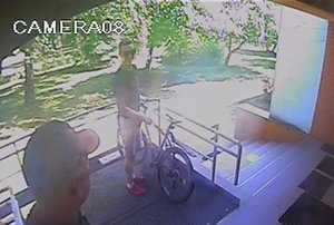 widok z monitoringu