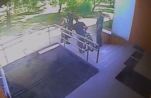 widok z monitoringu