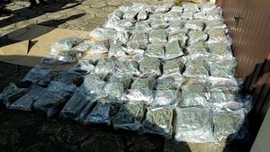 zabezpieczone narkotyki